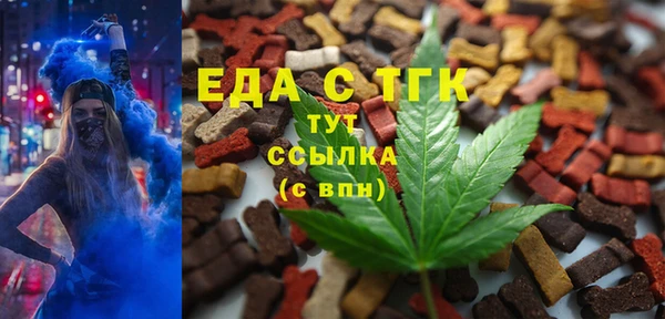 spice Алзамай