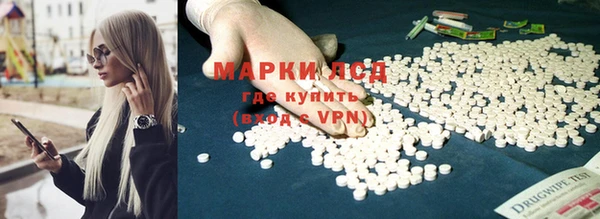 spice Алзамай