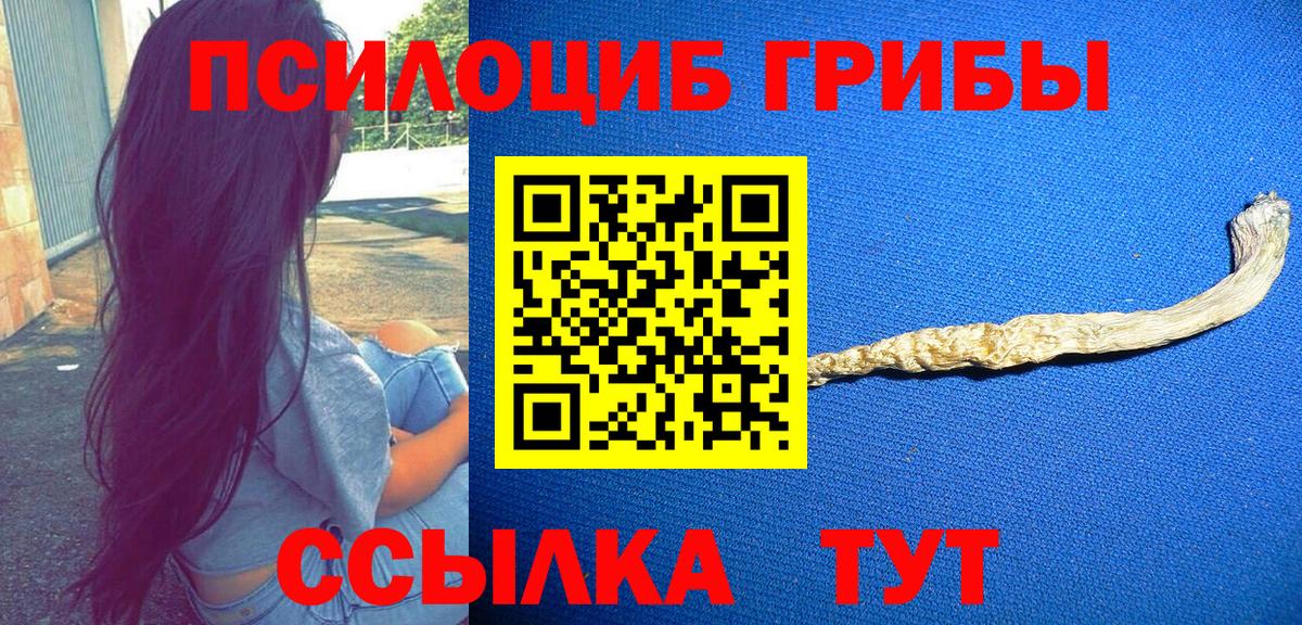 Псилоцибиновые грибы прущие грибы Березники