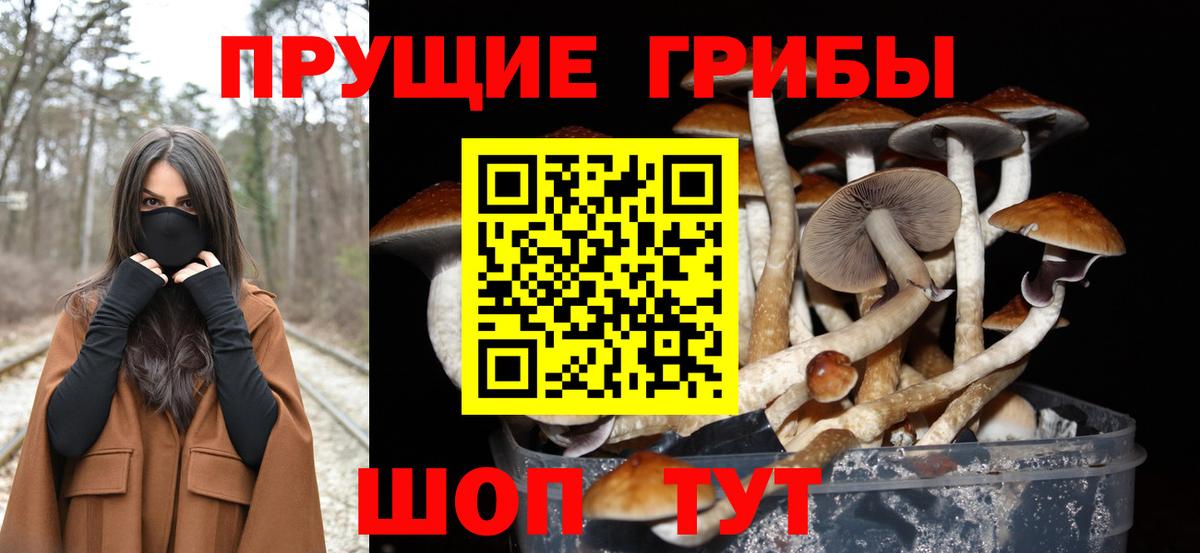 Псилоцибиновые грибы Psilocybine cubensis  Вход с VPN  Березники 